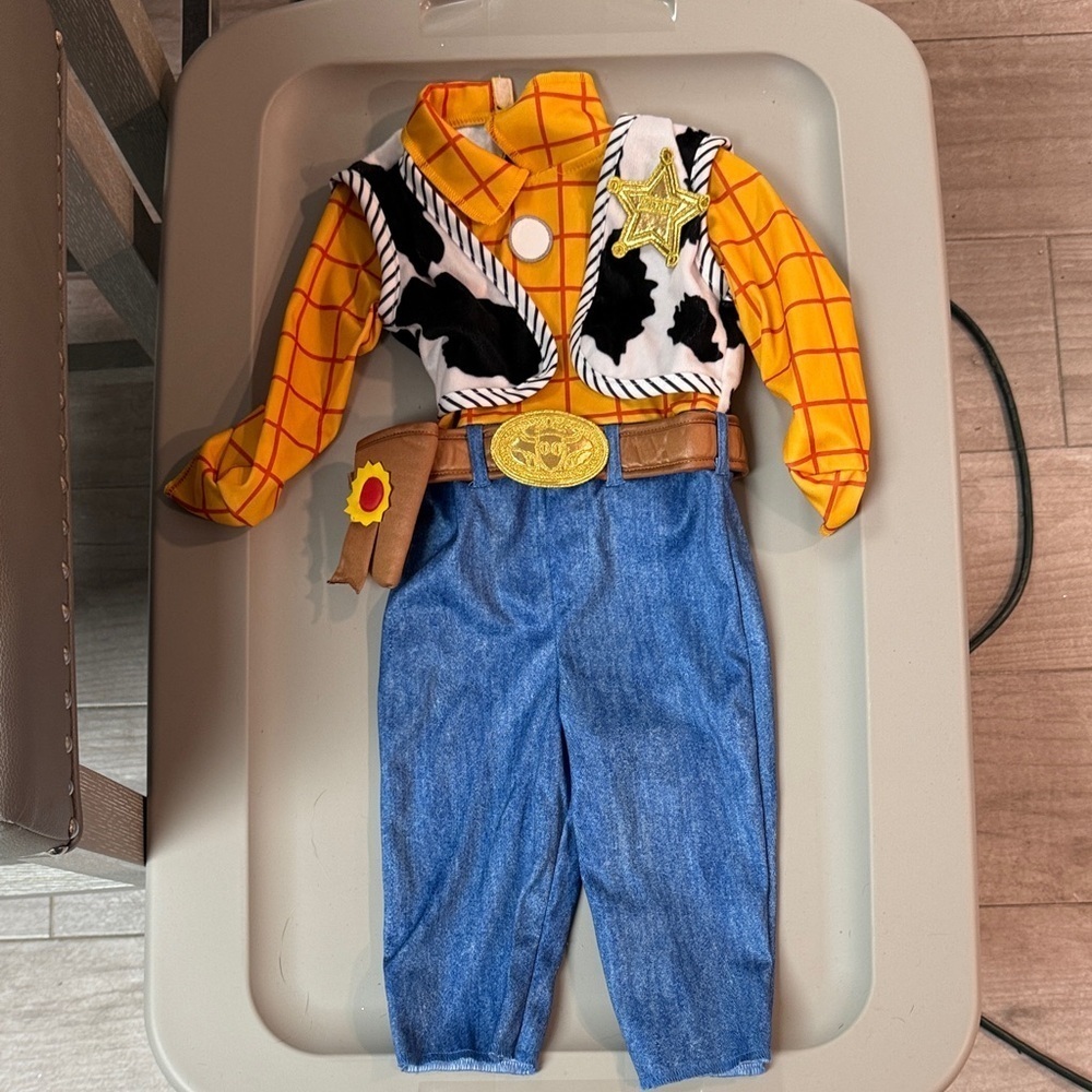 Cowboy woody Toy Story customs